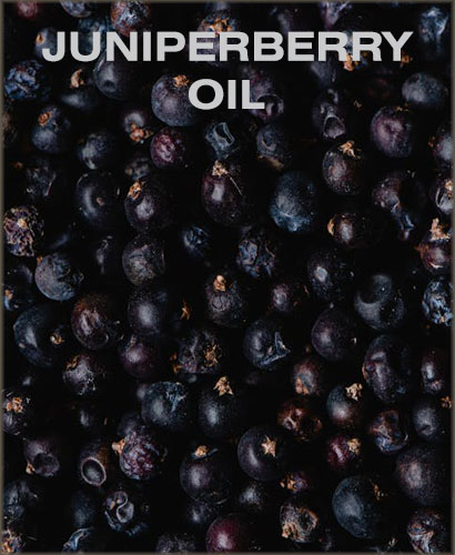 juniperberry