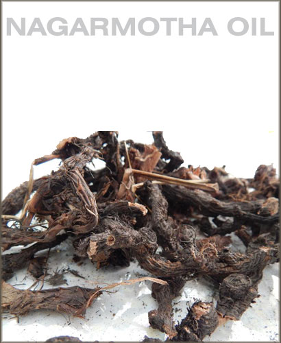 nagarmotha