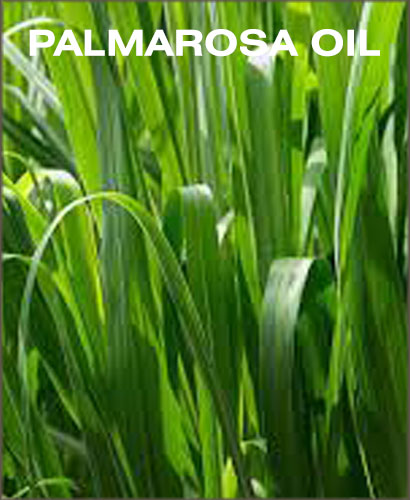 palmarosa