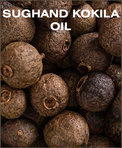 sugandhkokila